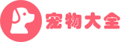 中国宠物网